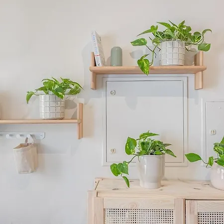 Apartament Vibe *